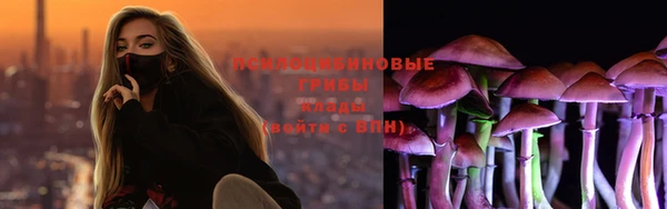 сатива Волоколамск