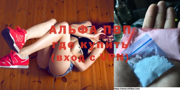 сатива Волоколамск