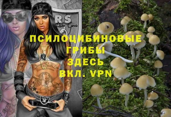 сатива Волоколамск