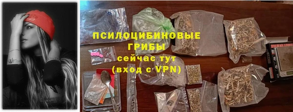 сатива Волоколамск